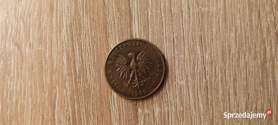 10 19821988 dolnośląskie Polkowice