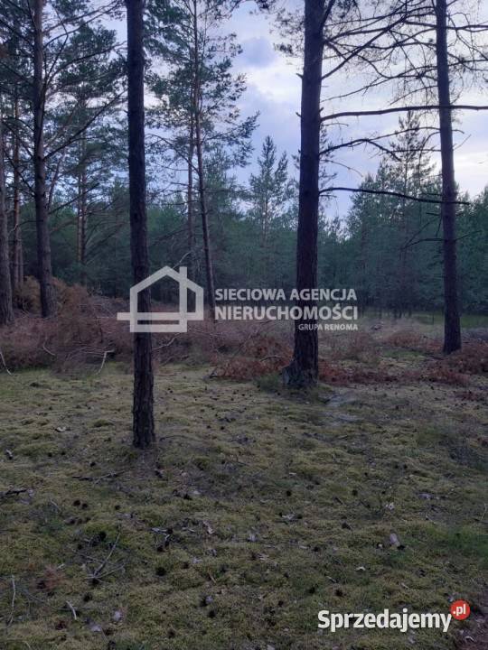 sprzedaży gruntu 63500m2 Wdzydze Tucholskie sprzedam