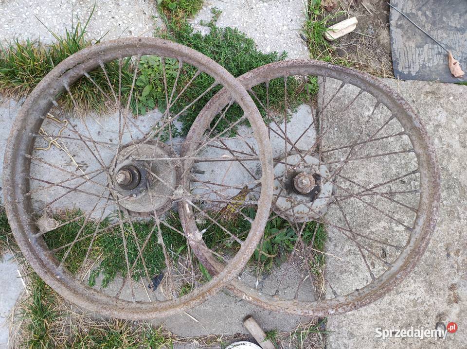 Koło Wfm Pozostałe łódzkie Pajęczno