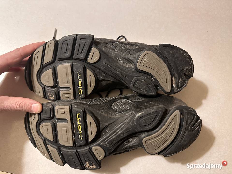 Ecco biom 44 stan Budy Głogowskie