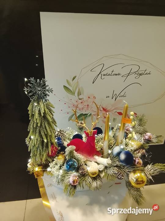 Stroiki bożonarodzeniowe Mroków-Kolonia sprzedam