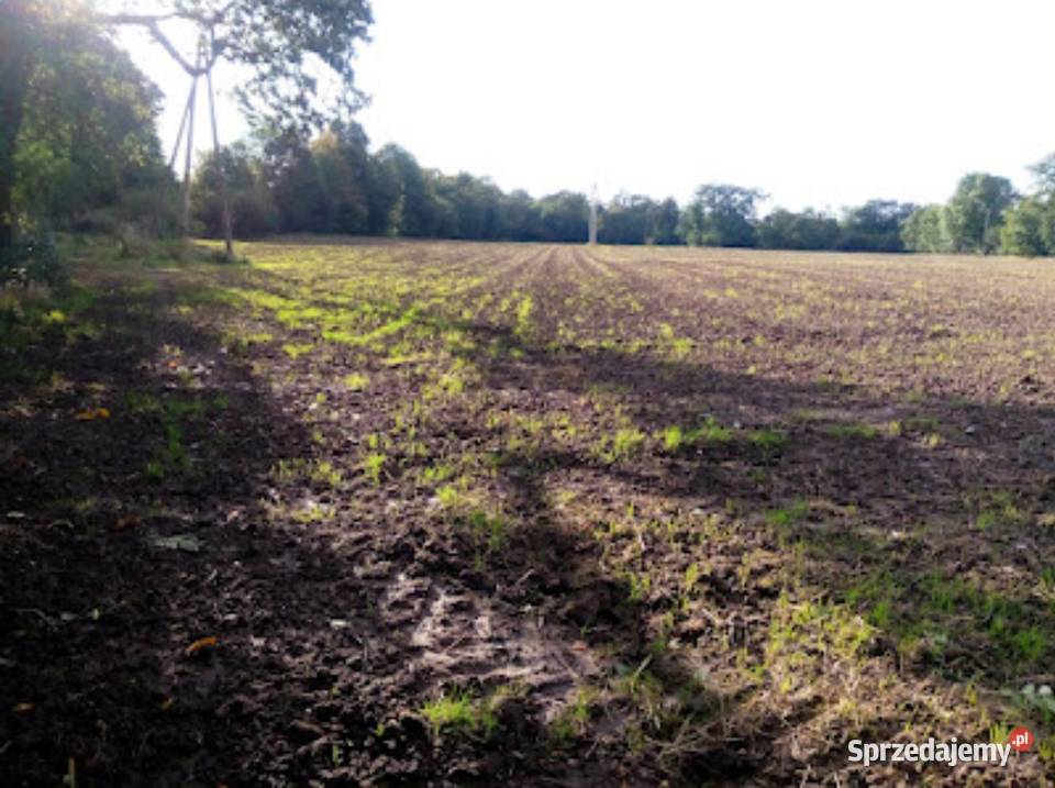 Grunty rolne pod uprawę WrocławWidawa Przepiękny Wrocław