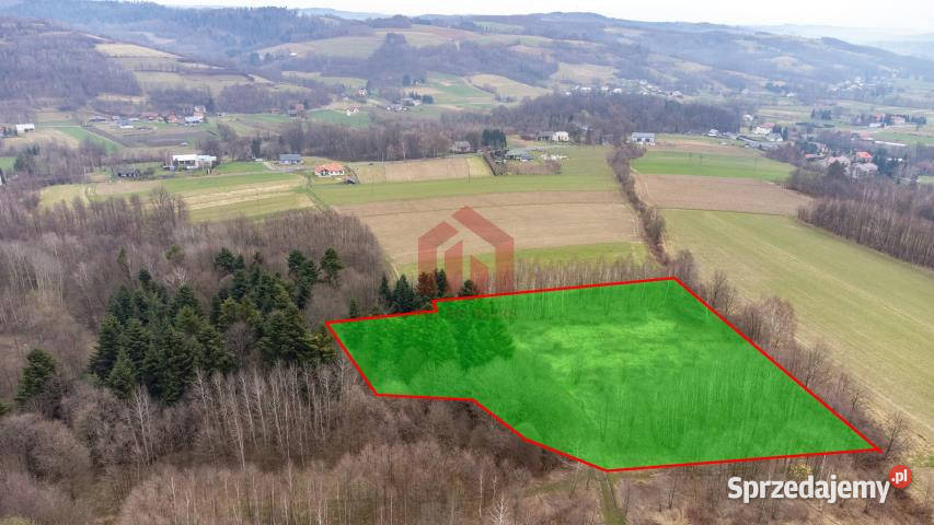 sprzedaży gruntu Żyznów 10400m2 12zł/m2 podkarpackie