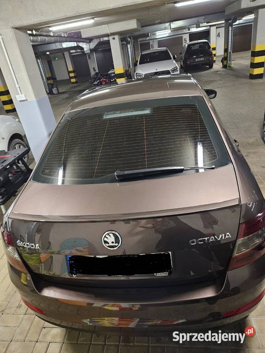 Skoda Octavia Hatchback Piaseczno