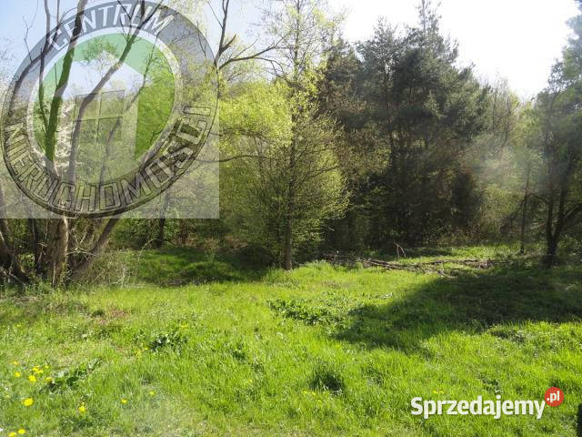 Grunt 13400m2 RoztokaBrzeziny małopolskie Roztoka-Brzeziny