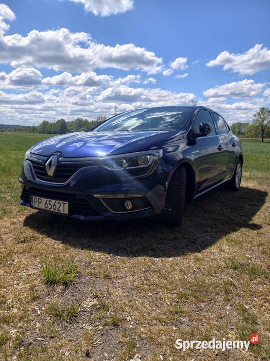 Renault Megane 15 dCi Krzewina