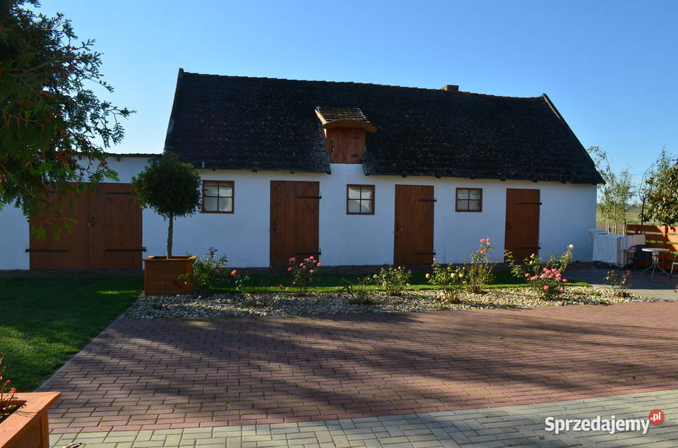 siedlisko z działka o pow 2292m2 w Chojnach gm wolnostojący Sprzedaż wielkopolskie Chojny