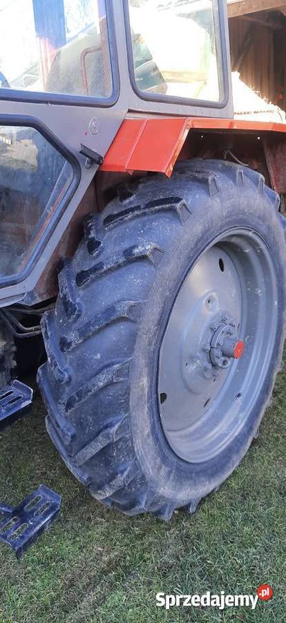 Białoruś jumz Rozkoszówka