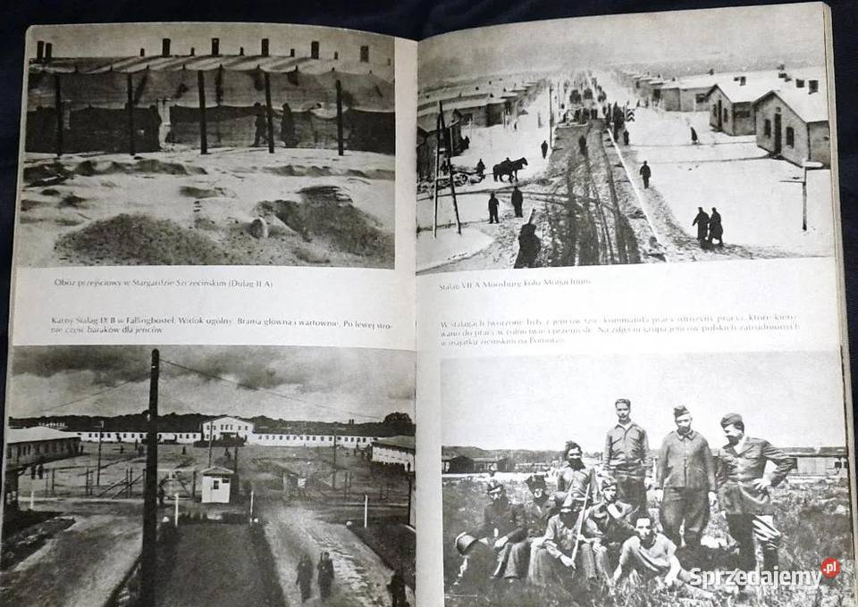 Jeńcy polscy w hitlerowskiej niewoli Juliusz lubelskie Chełm