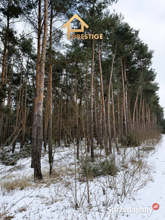 Wyjątkowa enklawa 494ha działka budowlana z wielkopolskie Skarbki