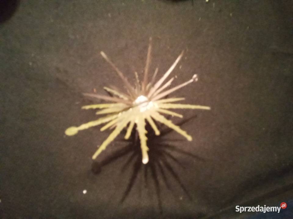 Składana gwiazdka plastikowa PRL Warszawa