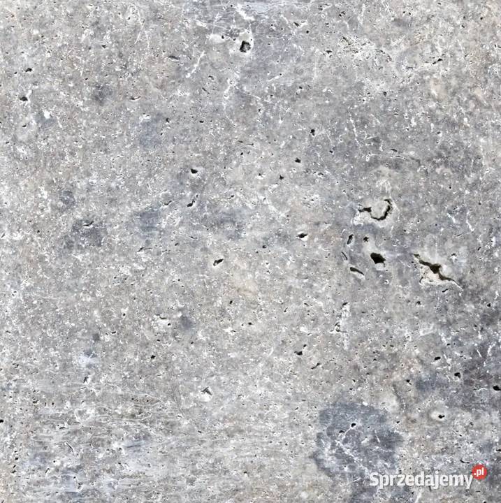 Trawertyn DOLOMITI Bębnowane Naturalne 61x61x3 Warszawa