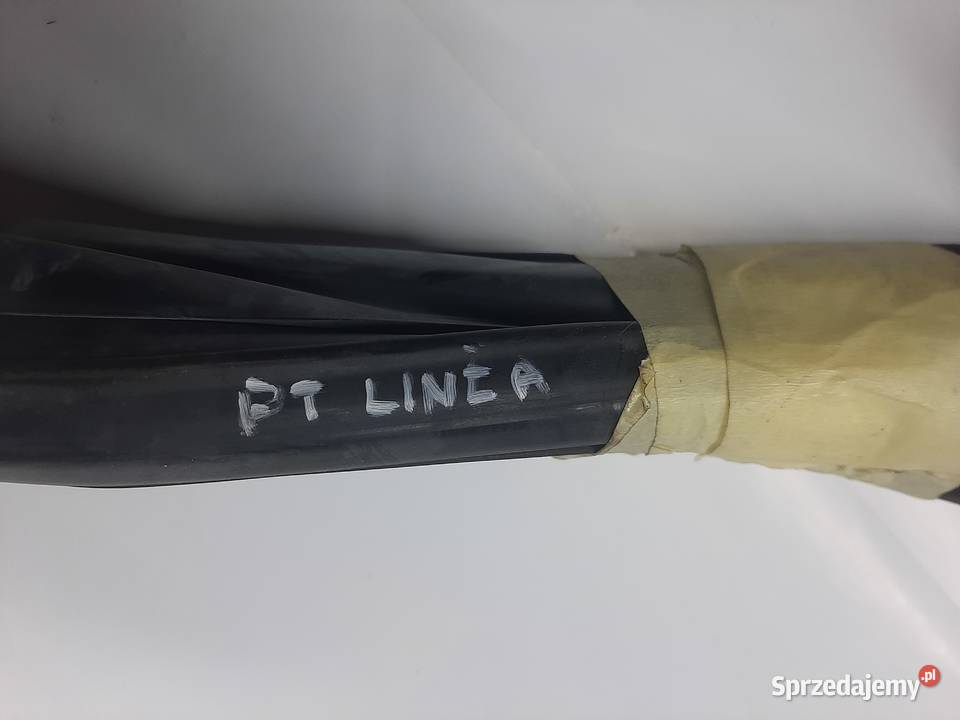 Fiat Linea uszczelka szyby z drzwi prawa tylna