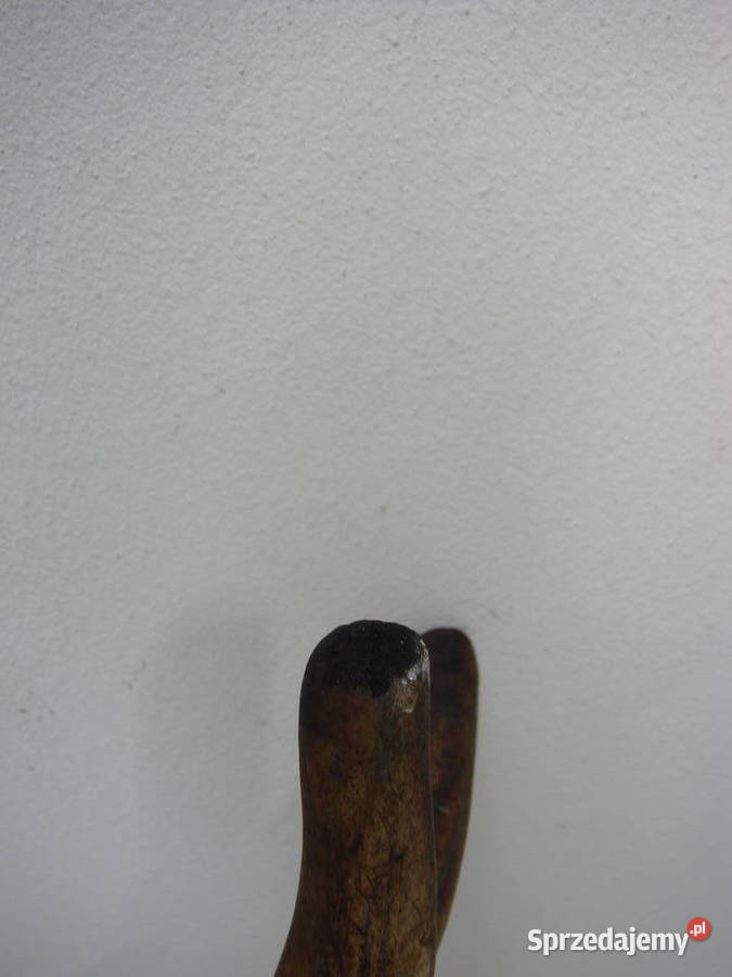 poroże jelenia Pruszcz Gdański sprzedam