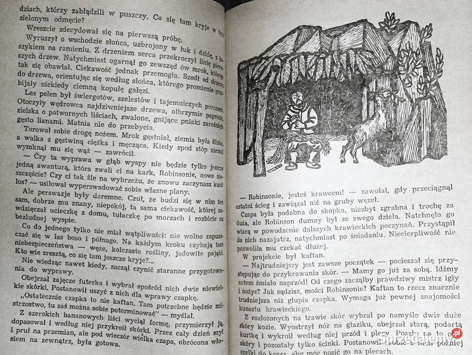 Robinsona Kruzoe Daniel Defoe Chełm