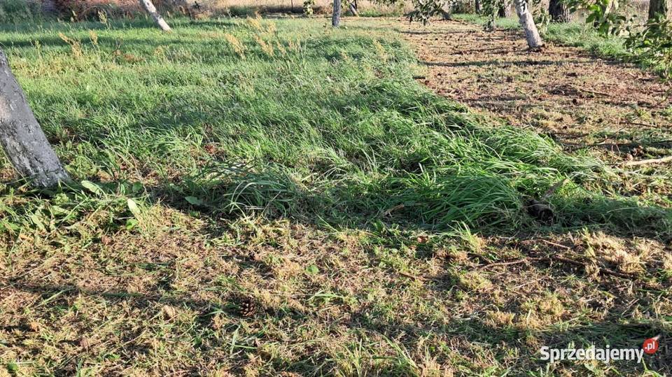 Koszenie wykaszanie usługi ogrodnicze Rokietnica