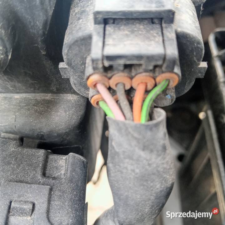 Wtyczka lampy reflektora 1895908114AS hyundai Kraków