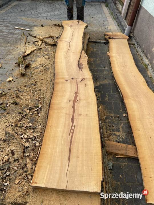 Brusy czereśnia gruszka 57 Babica