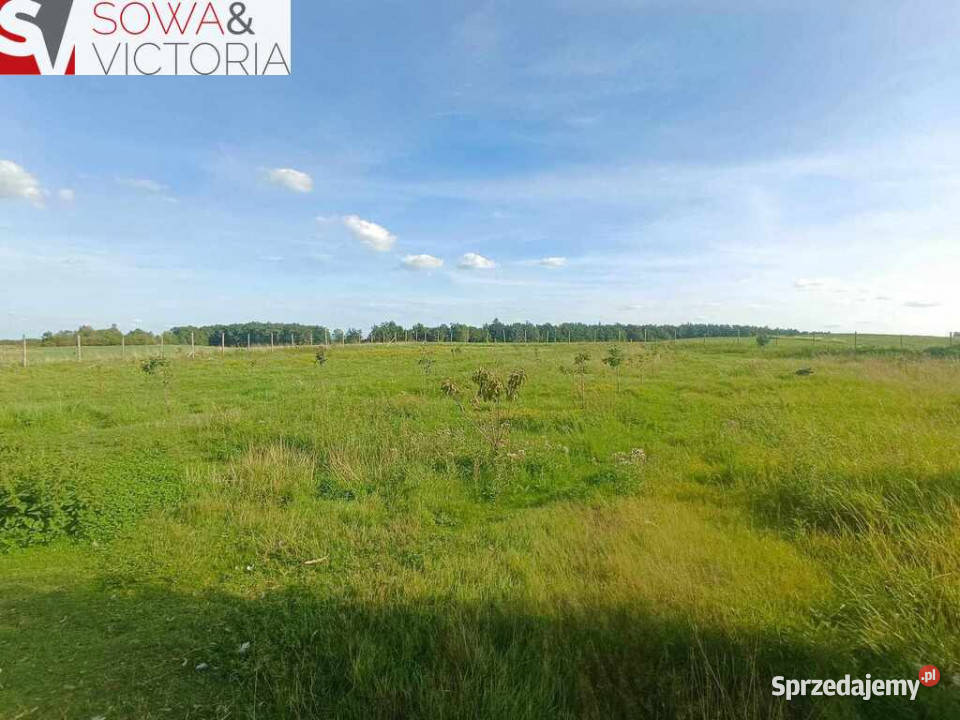 Doskonale skomunikowana działka w Cieszowie asfalt Cieszów