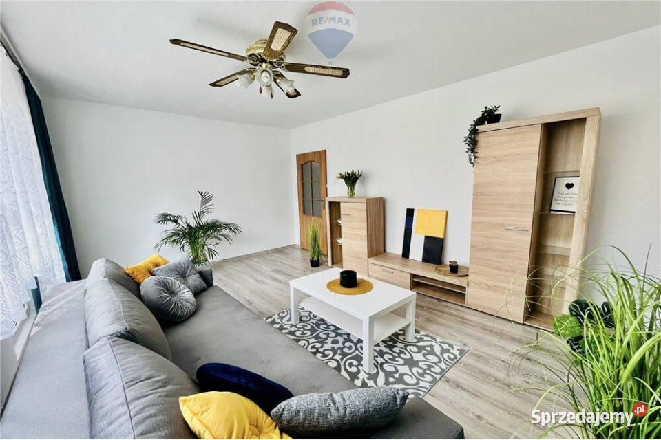 Komfortowe 3 pokoje do wynajęcia Zielona Góra