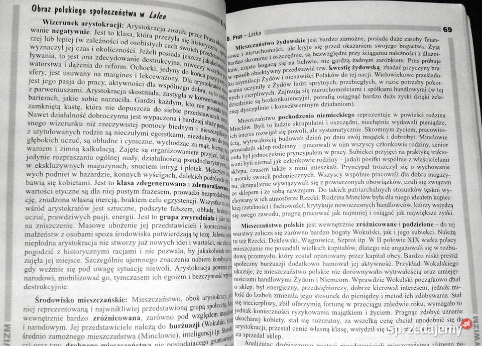 Opracowania lektury i wiersze 4 Pozytywizm lubelskie