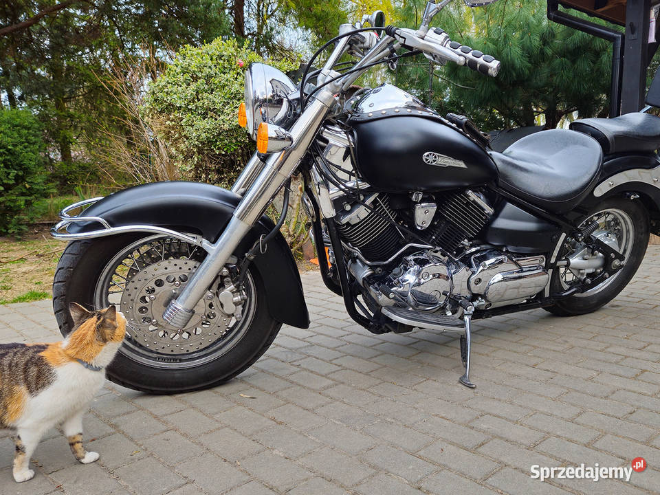 Yamaha XVS Drag Star salon Yamaha w mały Krasnystaw