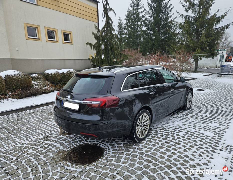 Opel Insignia 2014r 20cdTi 163 Automat Navi Alu małopolskie Ryglice sprzedam