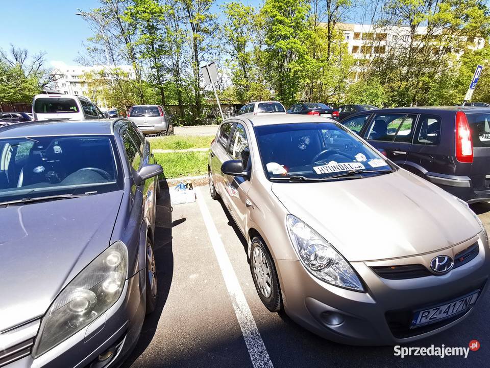 Pierwszy właściciel Salon Polska Borówiec