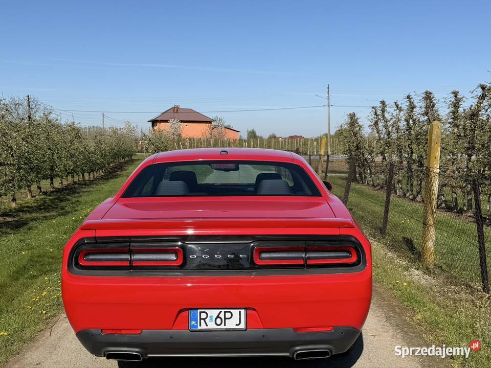 Dodge Challenger Sandomierz