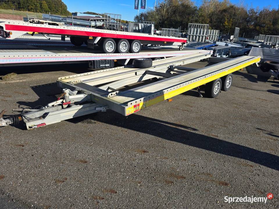 Algema fritzel Solnica