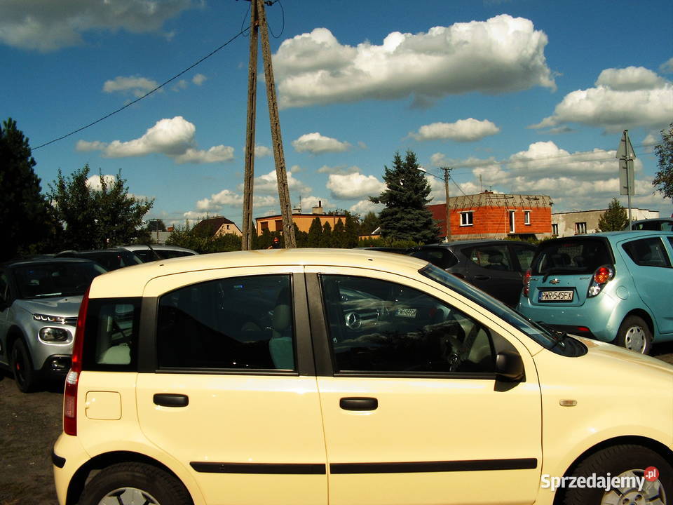 Fiat Panda 11 2003 r Salon Polska Fiat Września