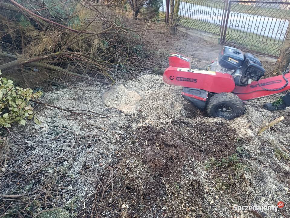 Rębak do gałęzi wycinka drzew mulczer leśny Karczowanie i usuwanie drzew Chęciny