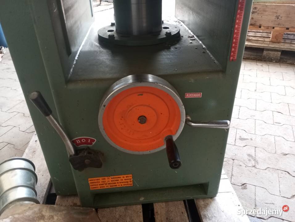 Grubościówko wyrówniarka Buk