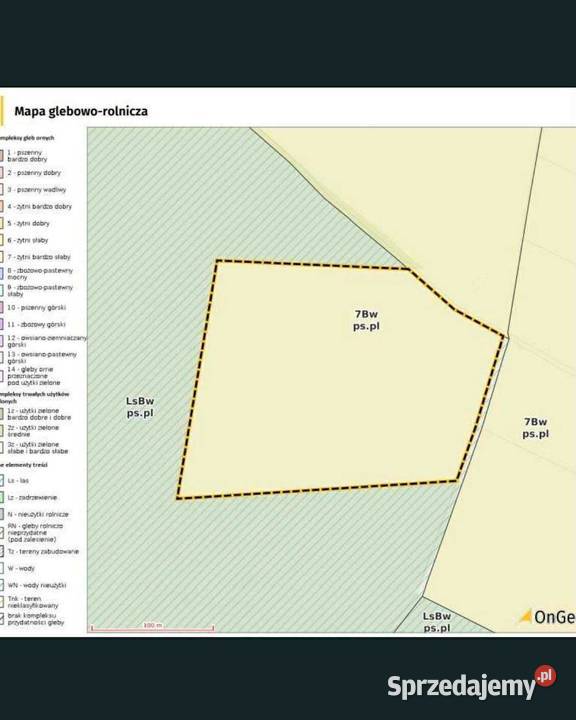Działka przemysłowa Mieczownica gm Ostrowite