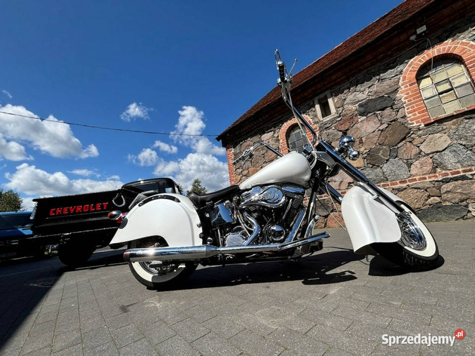 Indian Chief PROMOCJA Indian Chief White of Sulechów