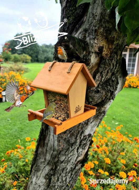 KARMNIK PTAKÓW na parapet z zasypem na ziarno z lubuskie Zielona Góra
