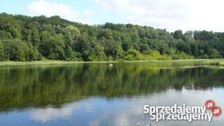 gospodarstwo rolno rybackie Grunty i działki Recz