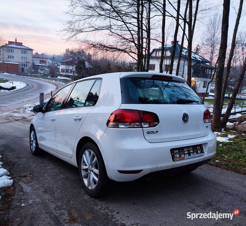 Ładny Volkswagen Golf VI 16 tdi 105 2010 prosto Rok produkcji 2010 podkarpackie Domaradz