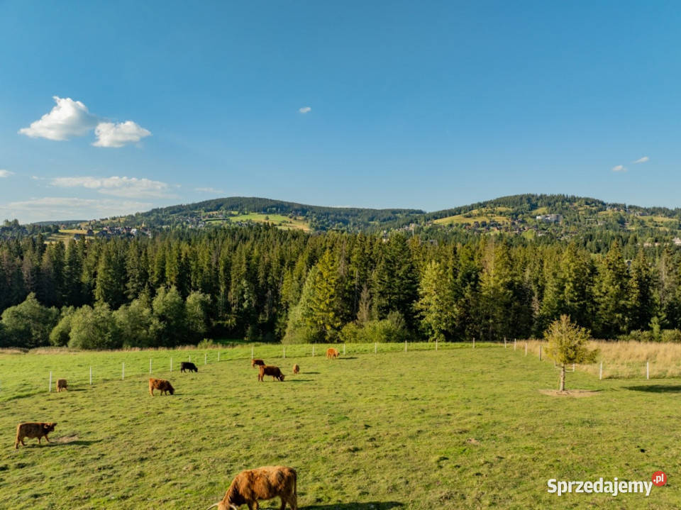 Działka rolna 3115 m Kościelisko małopolskie