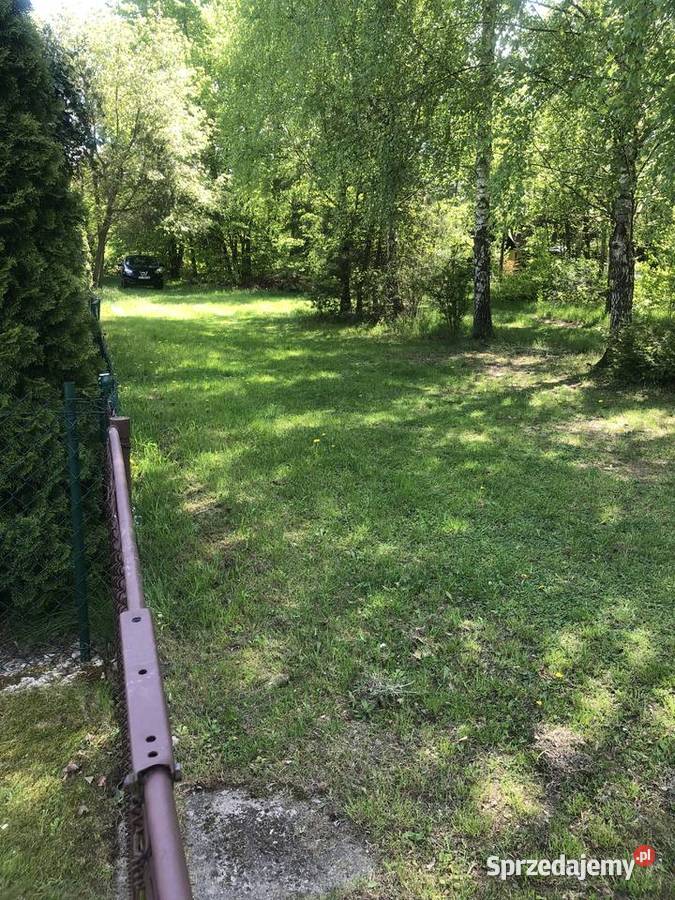 BEZPOŚREDNIO SPRZEDAM DZIAŁKĘ W ROD SŁOWIK Sprzedaż Słowik sprzedam