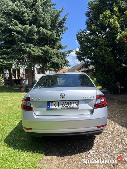 Skoda Octavia 2019 16 TDI 115 manualna Bodzentyn