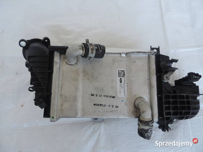 Ford Focus mk4 15d Intercooler JN1Q6C896AC sprzedam