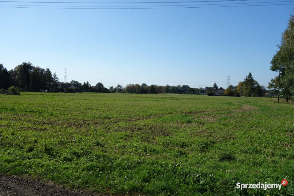 Skoczów Ochaby 157ha z częścią budowlaną 55ar i