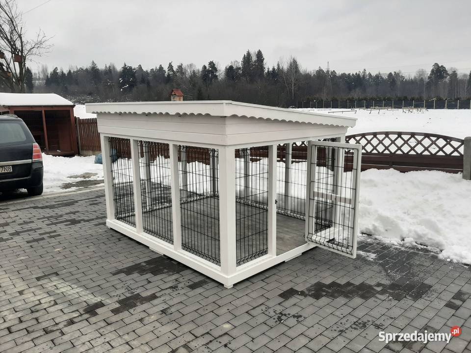 Kojec psa małopolskie Jordanów