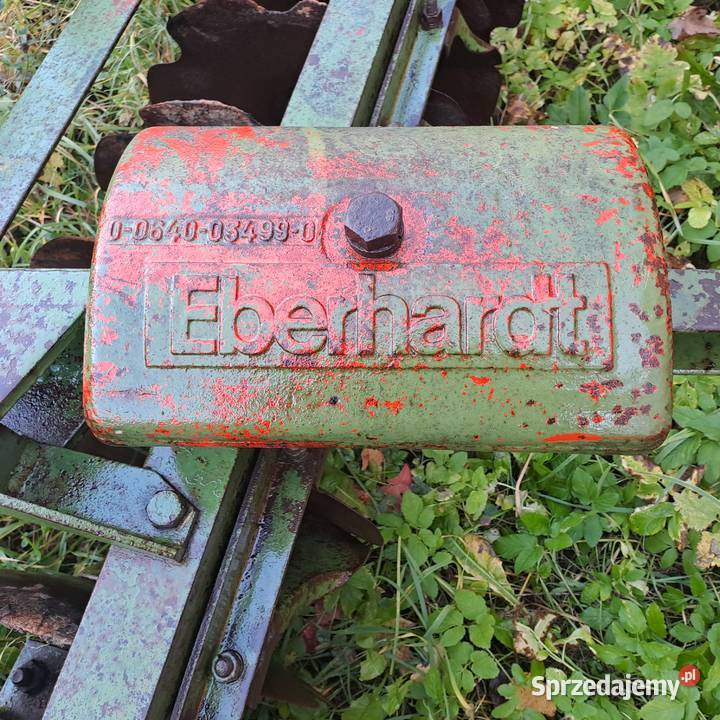 Talerzówka Eberhardt Piórków-Kolonia