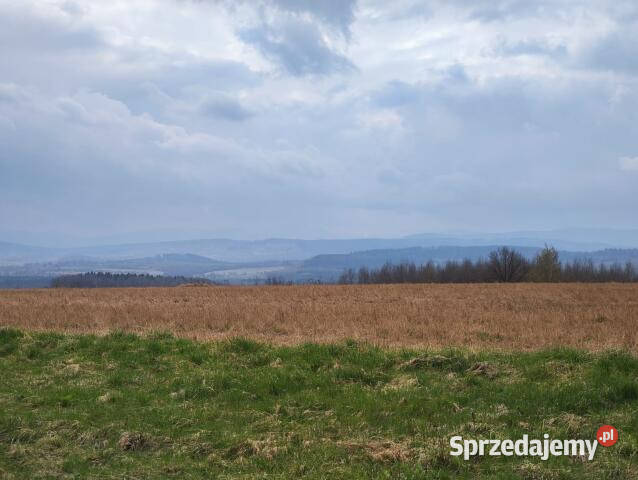 Działka 1592m2 Grudza