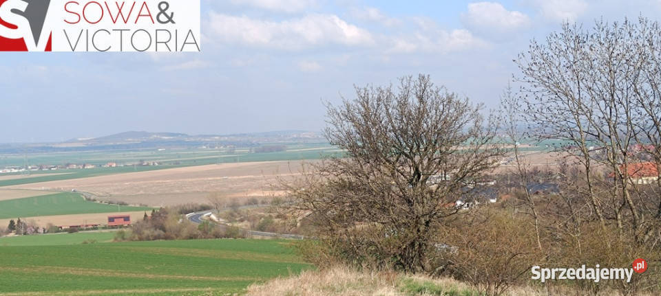 Piękna otoczona lasem działka w Dobromierzu Nieruchomości Dobromierz