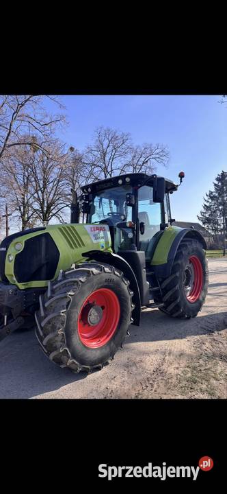 Odstąpię cesje leasingu Claas Arion 650 Kobylin