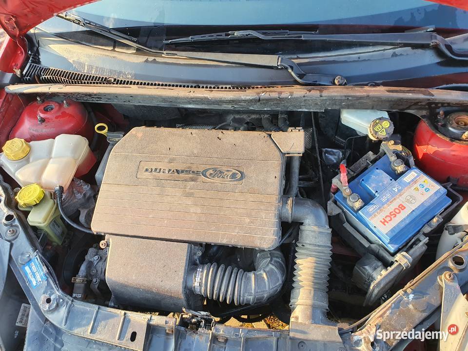 Ford fiesta mk6 Van 13 benzyna Nysa