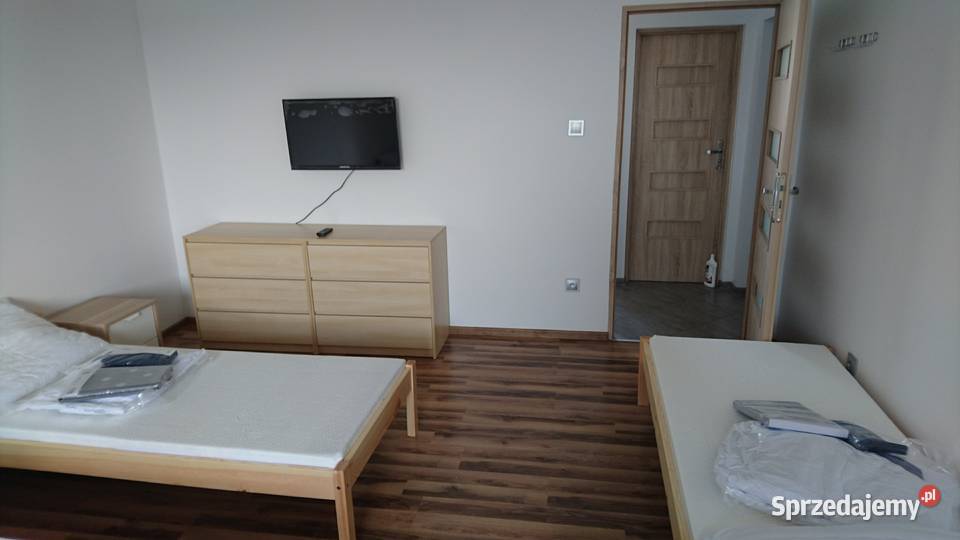 Nieruchomość działka 8500m dom 200m hala 900m Września